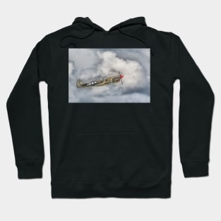 Flying Tiger Hoodie